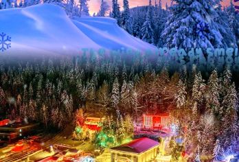 牡丹江雪乡往返班车一日游【天天发团，雪乡白天+夜景均可游览，告别天价火炕】