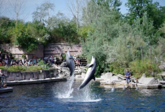 圣洛伦茨教堂＋玩具博物馆＋国家戏剧院【纽伦缤纷单日行】【历史广场深度解读＋艺术殿堂视觉盛宴＋自然萌趣亲密接触】