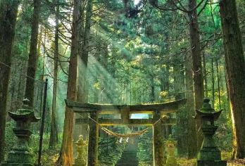 日本熊本阿苏山+草千里+高千穗峡一日游｜游轮码头/酒店接送【精选热门景点，高效游玩不走回头路，深度了解文化内涵，贴心服务保障，轻松享受旅程，性价比超高的旅行。】