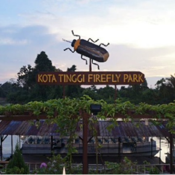 柔佛迪沙鲁哥打丁宜萤火虫游船【包车+包门票】 -  新山出发