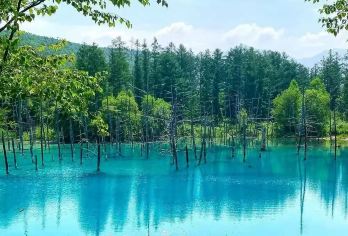 日本北海道美瑛+旭川一日游【私家包车/中文司机/包车巨惠】【尊享一对一高端行程定制，豪华包车专属礼遇，专业旅行顾问24小时恭候垂询。】