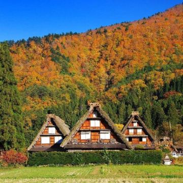 名古屋白川乡合掌村+飞驒高山一日游|每日两班