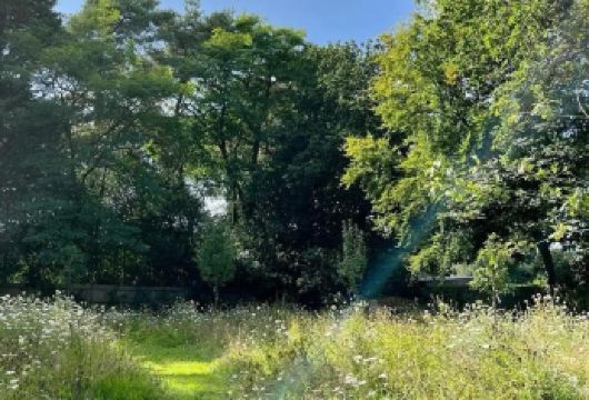 新西兰奥克兰-怀托摩萤火虫-霍比特村-中文包车私享行【精选热门景点，高效游玩不走回头路，深度了解文化内涵，贴心服务保障，轻松享受旅程，性价比超高的旅行。】