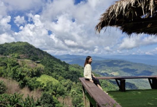 清迈：蒙占山云端仙境与大象咖啡馆温馨半日游【在风景如画的大自然咖啡馆中，体验喂养大象的乐趣，并与29只顽皮的小狗共度欢乐时光 欣赏蒙占山周边山脉与山谷的壮丽全景，以及美丽的花园景观。 从温馨家居到缤纷花园，捕捉每日完美瞬间】