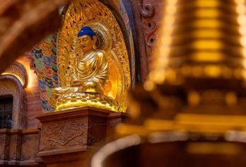 牛首山+侵华日军南京大屠杀遇难同胞纪念馆+中山陵+梧桐大道【[品质保障]景点参观时间您定、时间更自由、行程更透明、无购物、无自费、无暗店，拒绝任何旅游陷阱。】