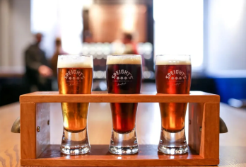 【南半球的爱丁堡】新西兰但尼丁一日游（蓝色企鹅+百年啤酒厂）【中文沟通无碍，深度体验，行程可调】