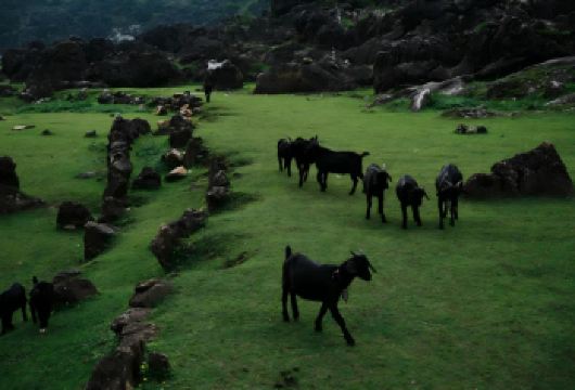 安顺市区上门接送|专业徒步向导|打卡大圣之眼+铜鼓荡+牛倒岩【双人成行，四人封顶，确保体验质量，专业向导全程保障安全与讲解】