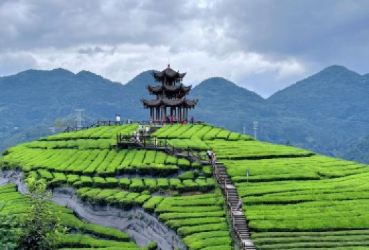 狮子关+伍家台+宣恩一日游+8人纯玩团+上门接送+本地司导【[免费接送]恩施城区内酒店和火车站提供免费接送服务，天天发团，纯玩无购物】