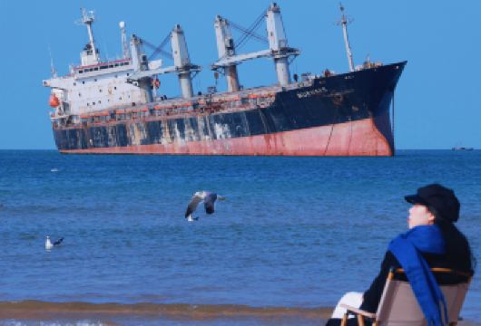 威海荣城 天鹅湖-布鲁维斯 等四大网红景点【半日游】送双粮【不起早，不晚归，不赶行程，时间充足】