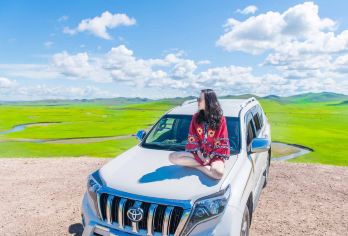 辉腾锡勒草原+乌兰哈达火山地质公园一日游【包车游/上门接】【专属客服一对一服务，行前途中售后24h接待，省心出行!】