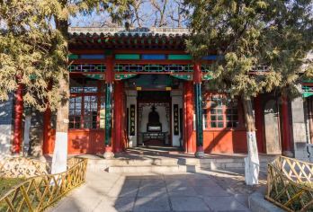 【踏秋而行◆纯玩】趵突泉+大明湖+黑虎泉+千佛山一日游【[放心选]品质保证，0购物0自费，门票全含，跟团也自由。】