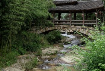 丽水—遂昌：南尖岩+神龙谷+千佛山 景点可定制G【全程中文/英文/俄语/小语种服务，沟通无障碍，景点可调,多种车型可选】