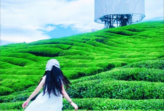 寒溪村+瑶里古镇+瓷宫+寒溪村+东埠码头【纯玩旅拍陶瓷文化】【网红打卡景德镇版的“大鱼海棠”瓷宫，天青色等烟雨，而我在瑶里等你，瓷之源-东埠古码头！】