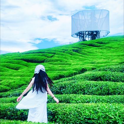 寒溪村+瑶里古镇+瓷宫+寒溪村+东埠码头【纯玩旅拍陶瓷文化】