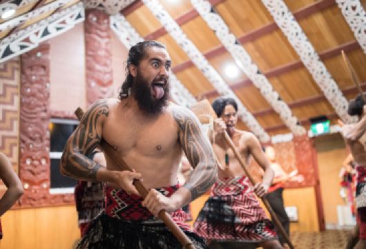 新西兰霍比特村+蒂普亚毛利文化村 一日游 【豪华五星观光大巴，视野开阔，无需自己开车，专注体验当地旅游文化，纯正国际长途旅行方式】