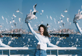 昆明滇池+云南民族村+西山风景名胜区+龙门一日游【纯玩无购】【[产品保障]一手操作，品质保障，让您安心出游，绝无后顾之忧！】