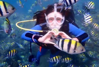 亚龙湾远海珊瑚礁潜水 摩托艇 香蕉船 飞龙 拖伞多种水上项目【零基础可玩 不需要会游泳，全国唯美的潜水基地，水下珊瑚丰富】