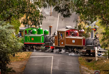 【小团中文·含彩虹小屋】墨尔本蒸汽小火车+菲利普企鹅岛一日游【[时光穿梭 · 蒸汽之旅]搭乘历史悠久的普芬比利蒸汽火车，穿梭在翠绿的丹迪农山脉，体验澳洲的自然生态】