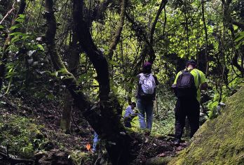腾冲高黎贡野人谷徒步一日游【野人谷徒步+山野厨房+洞山温泉】【套餐内已涵盖经验丰富的向导费用，可提供讲解与行程指引，还免费代办徒步保险，让腾冲之旅更安心。】
