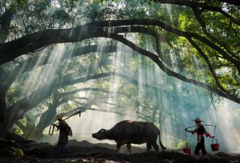 福建宁德霞浦杨家溪+花竹村+小皓滩涂+留云禅寺+光影东壁日落【[精致小团 | 亲子甄选 | 上门接送] 霞浦一日游纯玩无购物，专车上门接送，亲子友好行程无忧】