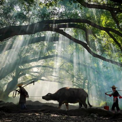 福建宁德霞浦杨家溪+花竹村+小皓滩涂+留云禅寺+光影东壁日落