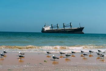 威海潮玩打卡：沉船·天鹅·火炬八街一日通玩（送天鹅，海鸥食）【一条精品线路串联威海8大年度网红地标，从火炬八街到布鲁维斯沉船，一站式打卡不留遗憾，轻松制霸朋友圈。】