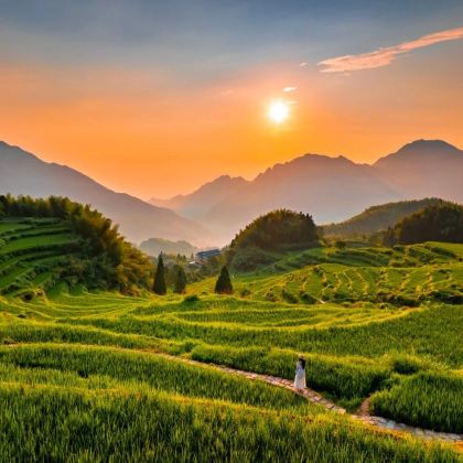 云和梯田+古堰画乡高品质一日游【含门票船票免换乘免索道】