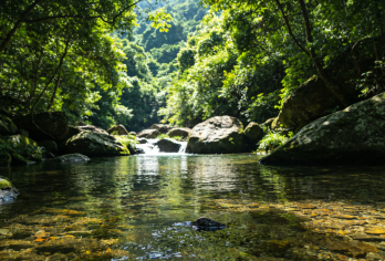 龙门南昆山山林养生线+佰瑞达温泉+永汉镇 “寻猫之旅”街区【主打山林休闲与养生放松，远离城市喧嚣、舒缓身心】