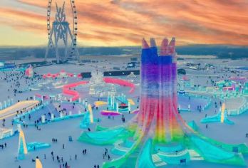 【景区直通车】哈尔滨冰雪大世界【[多地集合]索菲亚教堂-中央大街(防洪纪念塔)-太阳岛一冰雪大世界-东北虎林园均可上车，灵活选择】