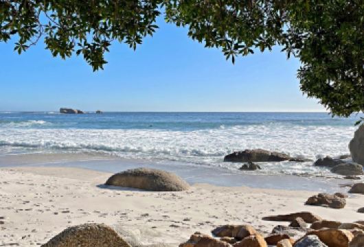 南非开普敦包车一日游 徒步狮子山+观企鹅+Clifton海滩【狮子山徒步，一览开普敦美景】