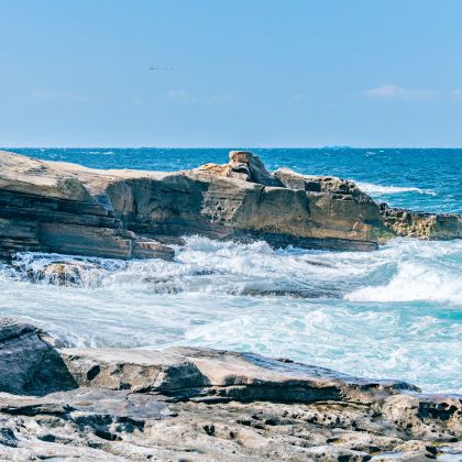 白滨小众之旅+和歌山猫站长电车体验+千叠敷一日游