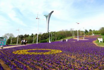 【沈阳鸟岛+世博园+亲子+休闲+一日游】【岛上栖息着100多种鸟类，是鸟类爱好者的天堂。】