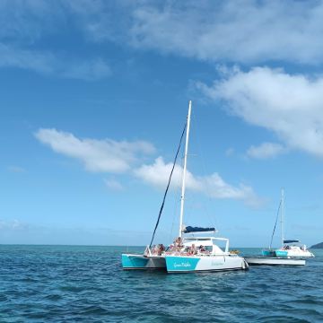 双体船畅游海豚湾一日游【 观海豚/浮潜+水晶岩+月亮岛】