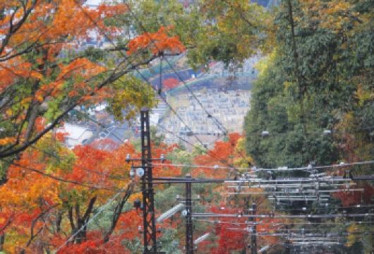 日本京都-二三年坂清水寺天龙寺伏见稻荷大社%可大阪【精选】【包车一日游，解锁旅行新方式！独立车辆配备经验丰富的老司机，为您量身打造专属行程。】
