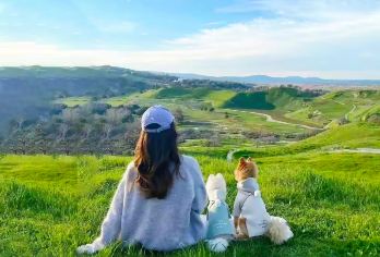 红石崖国家生态公园+敕勒川草原一日游【包车游/上门接】【专享司兼导，可提供5-55座车型、多种车型任选 ！】