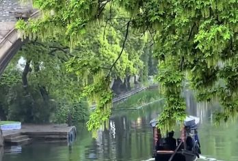 丽水一日游：古堰画乡+处州府城+白云山+东西岩 景点可定制G【全程中文/英文/俄语/小语种服务，沟通无障碍，景点可调,多种车型可选】