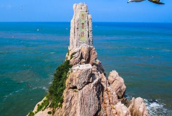 荣成出发成山头+天鹅湖+布鲁维斯号+烟墩角村观海草房赏大天鹅【[4-8人精致小团]，品质有保障，性价比高，赠送天鹅粮。】