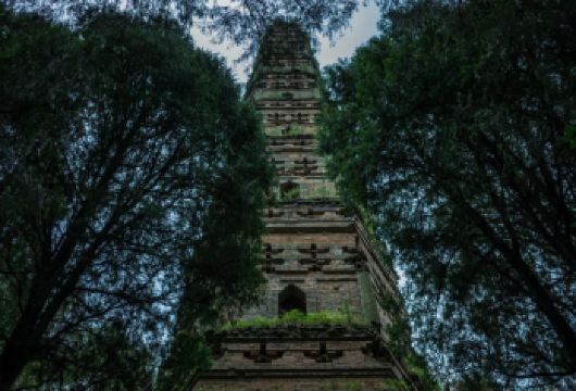 【私家精品团·含门票】国清寺+智者塔院+石梁飞瀑一日游【2-4人独立成团，专车专导，出发时间、景点停留时长、游览节奏由您决定】