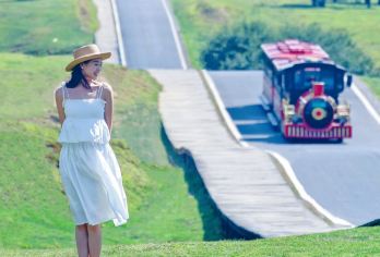 武隆天生三桥+仙女山国家森林公园一日游【含门票+午餐+纯玩】【[优先品质]市区五大商圈多站接驳丨纯玩无购物丨无隐形消费丨旅游意外险】