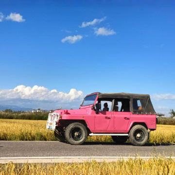 大理环洱海包车一日游（纯玩包车+一单一团+景点自选）