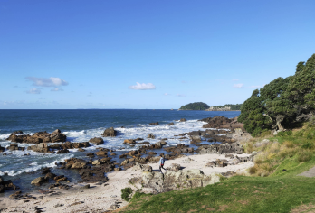 新西兰奥克兰+罗托鲁瓦+陶波湖-可定制【中文专车-惬意舒适】【中文专车出行，行程自己定义，无需等待，专属贴心服务，尽享惬意旅程】