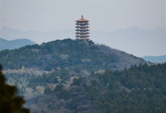 北京金海湖步道一路湖光山色-金海湖环湖休闲徒步，不进景区【徒步，家庭亲子】
