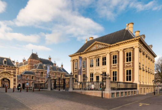 国际战犯法庭+莫瑞泰斯皇家美术馆+海牙广场+国会大厦与骑士楼【精品包车，私享空间，上门接送，轻松出行】