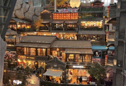 长春伪满皇宫+东北沦陷史博物馆+长春博物馆+规划馆包车一日活动【春城旧事中的百年尘埃，长是绵长的长，春是逢春的春】