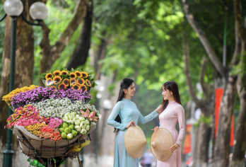 越南河内千年首都经典一日游【单独包团/多种语言导游】【我们是越南当地旅行社，20多年专门接待外国人来越南】