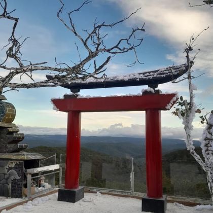 芽庄出发到大叻浪漫城市一日游