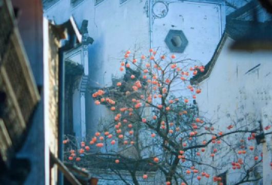 篁岭+李坑一日游【婺源出发  天天发班 上门接纯玩】【[线路精选]打卡晒秋小镇篁岭+小桥流水人家李坑】