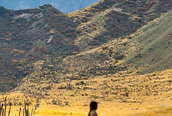 张掖马蹄寺+七彩丹霞一日游【超长时停留看日落·纯玩无购物】【市区内任何地点免费上门接送、免去大巴团集合等待烦恼、让宝贵的时间尽情在景区游览】