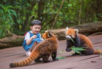 普洱太阳河森林公园+普洱银生茶庄园一日游【市区上门接送】【[精致小团]小团出游，不奔波不赶路，睡醒出发】