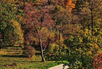 【东北赏秋】长春四方顶+吊水壶一日游，观火山红叶，赏云海古树【红叶绿树，赏独属于东北的那片秋】